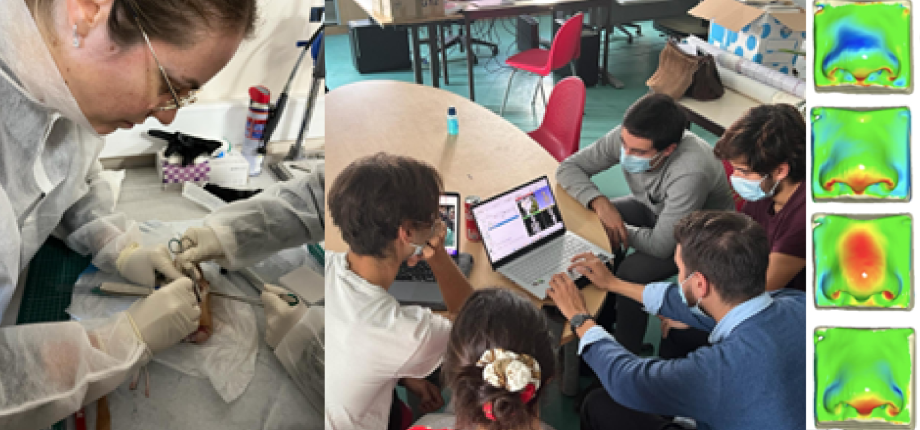 Master Year 2 in Mechanical Engineering for Clinicians (MECENCLI)