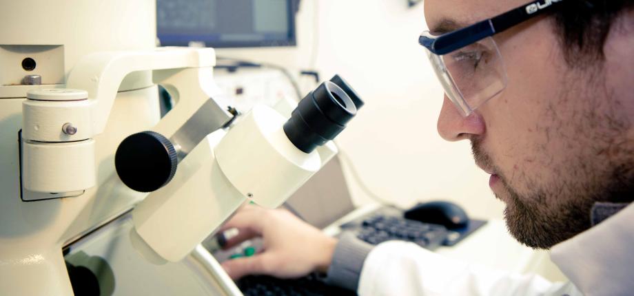 Master 1 Ingénierie BioMédicale (BME)